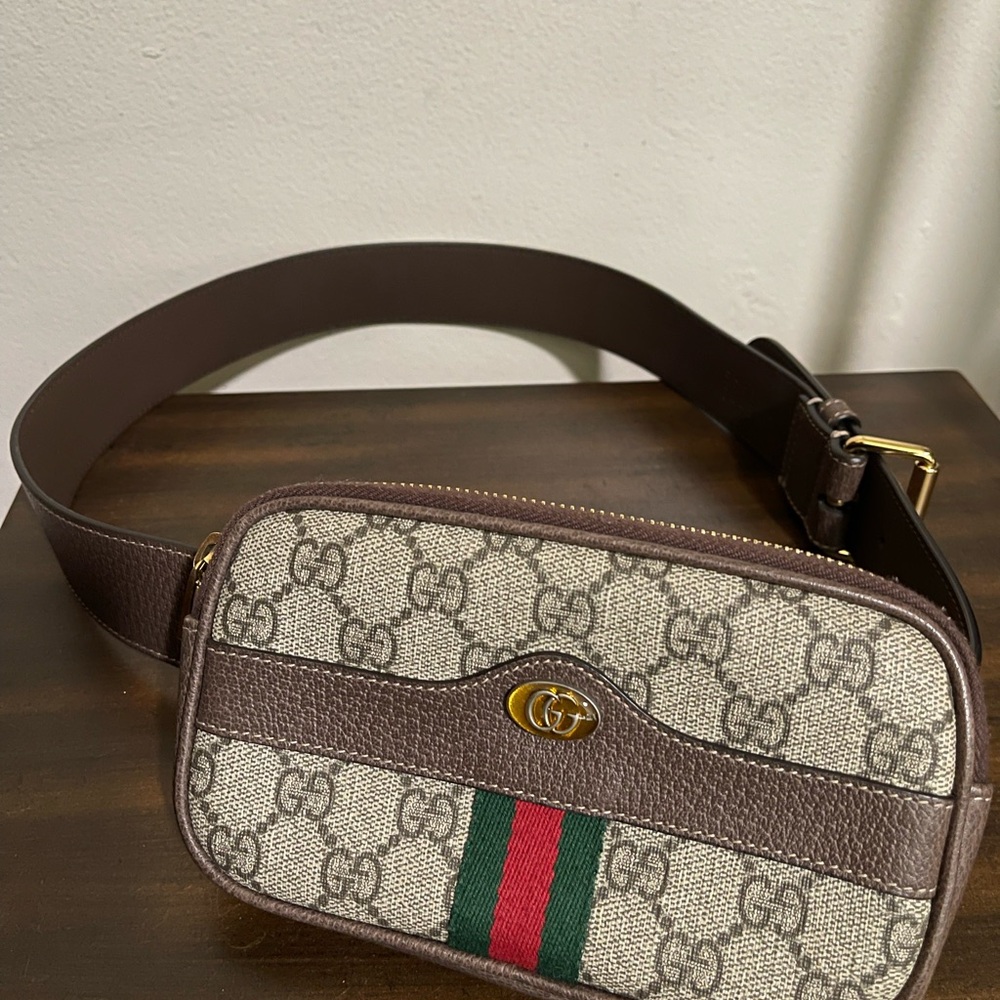 Gucci Brown and Beige Belt Bag